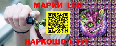 PSILOCYBIN Кунгур