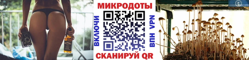 нарко площадка официальный сайт  Павловский Посад  Псилоцибиновые грибы Psilocybine cubensis 