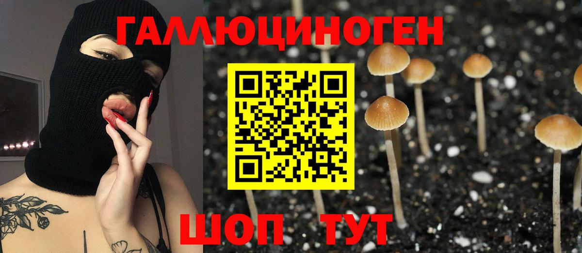 Псилоцибиновые грибы GOLDEN TEACHER Павловский Посад