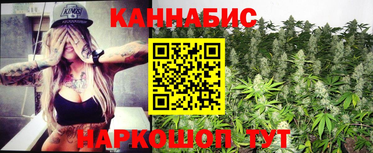 Марихуана Bruce Banner  Вход с VPN  Павловский Посад  Каннабис индика  МАРИХУАНА планчик  Конопля план 